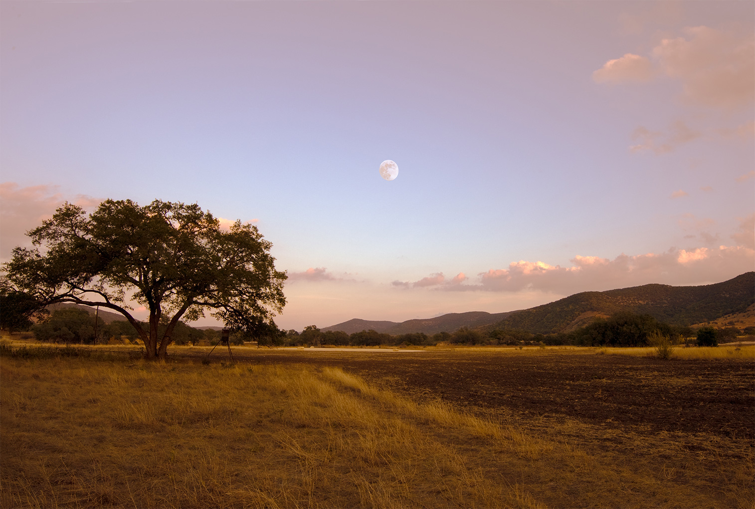 Green Hill NC Community Information & Homes for Sale