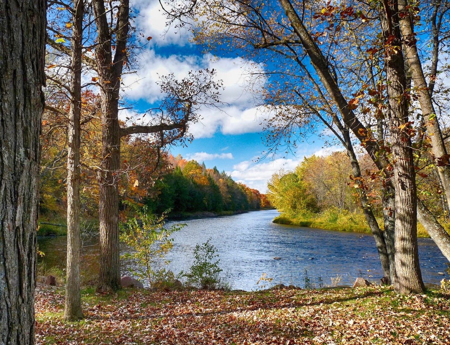 All Things Life in Drummond, WI & Homes for Sale