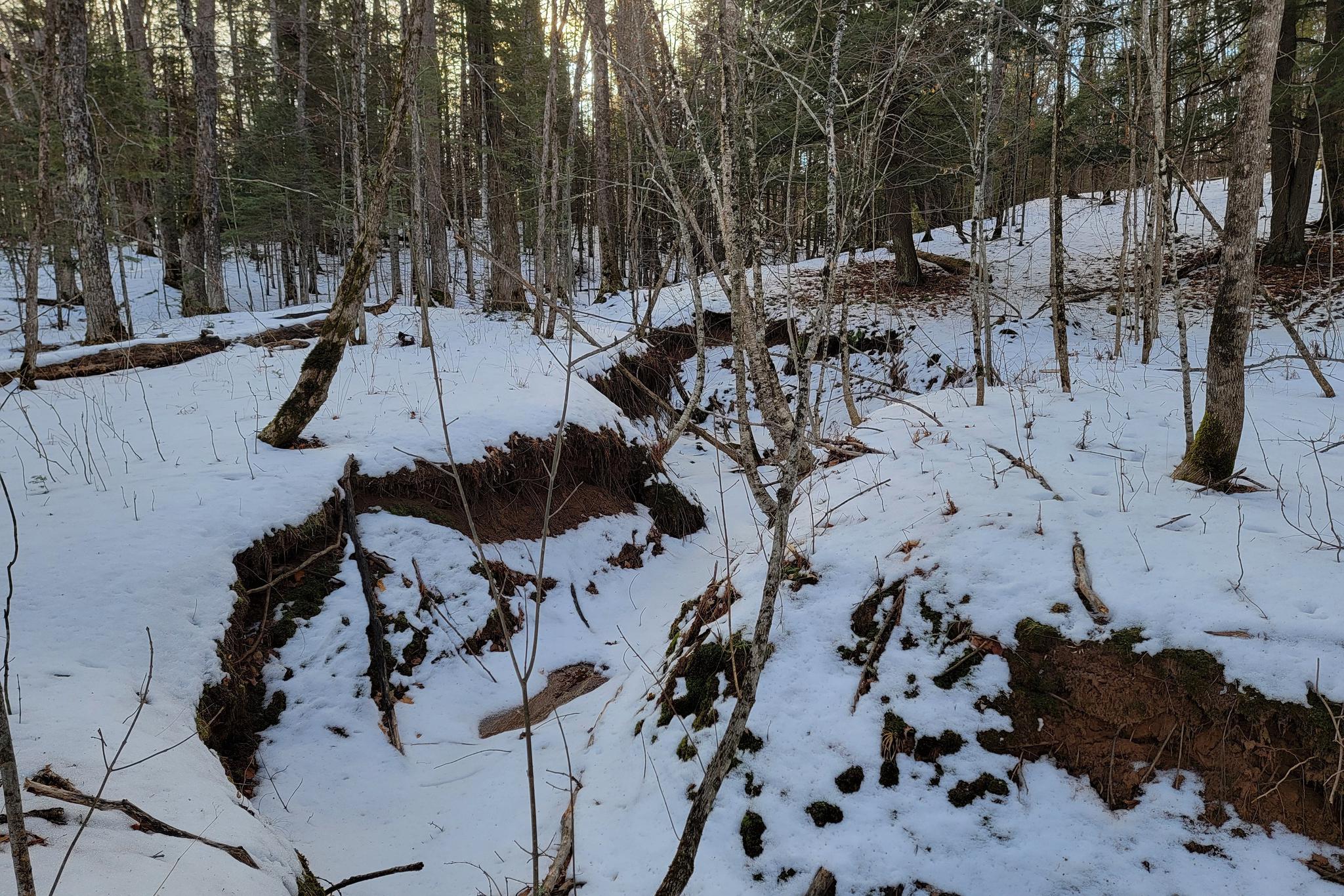 Lot 1 US Highway 63 vacant land for sale in Grand View Wisconsin