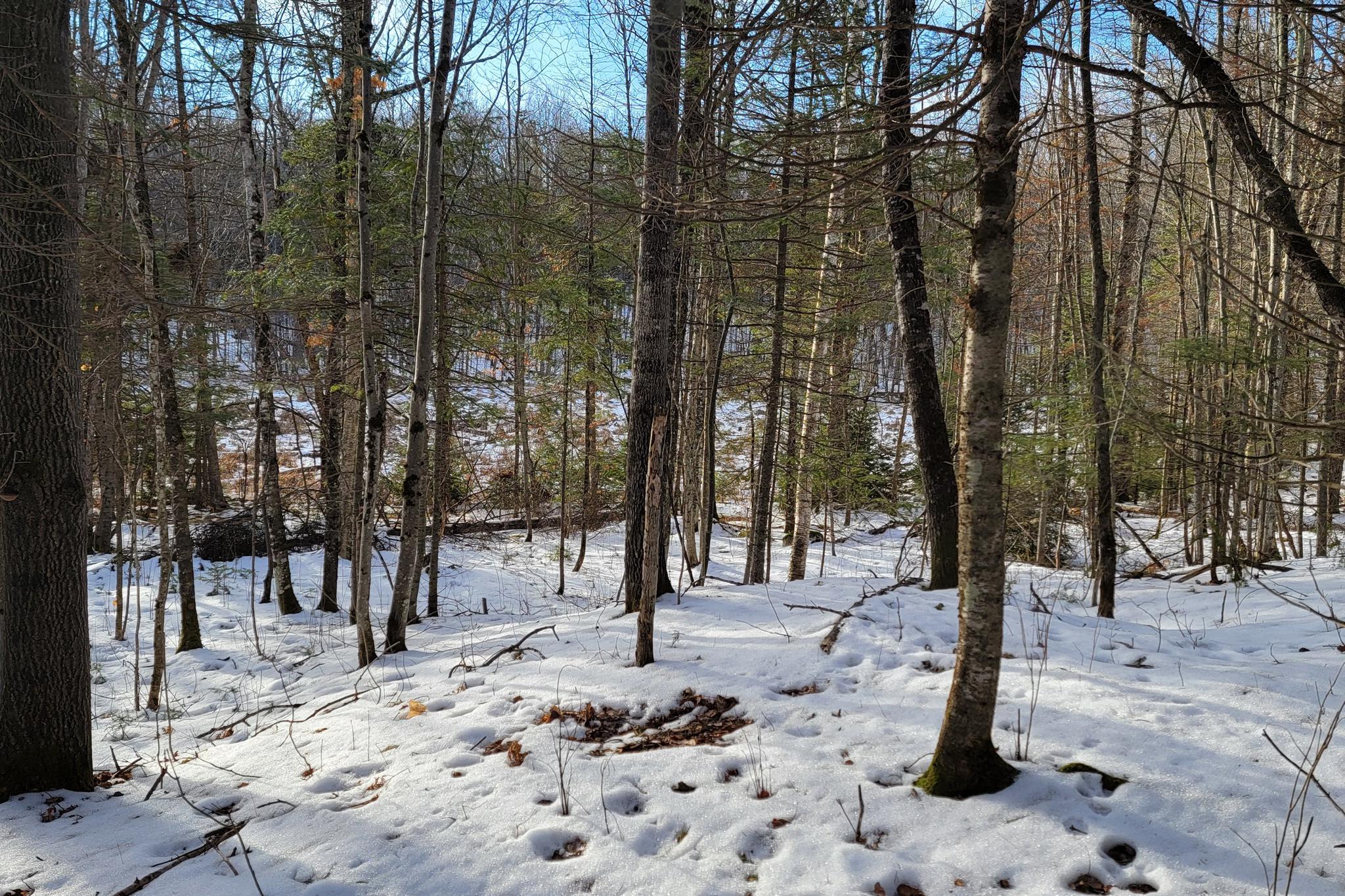 Lot 1 US Highway 63 vacant land for sale in Grand View Wisconsin