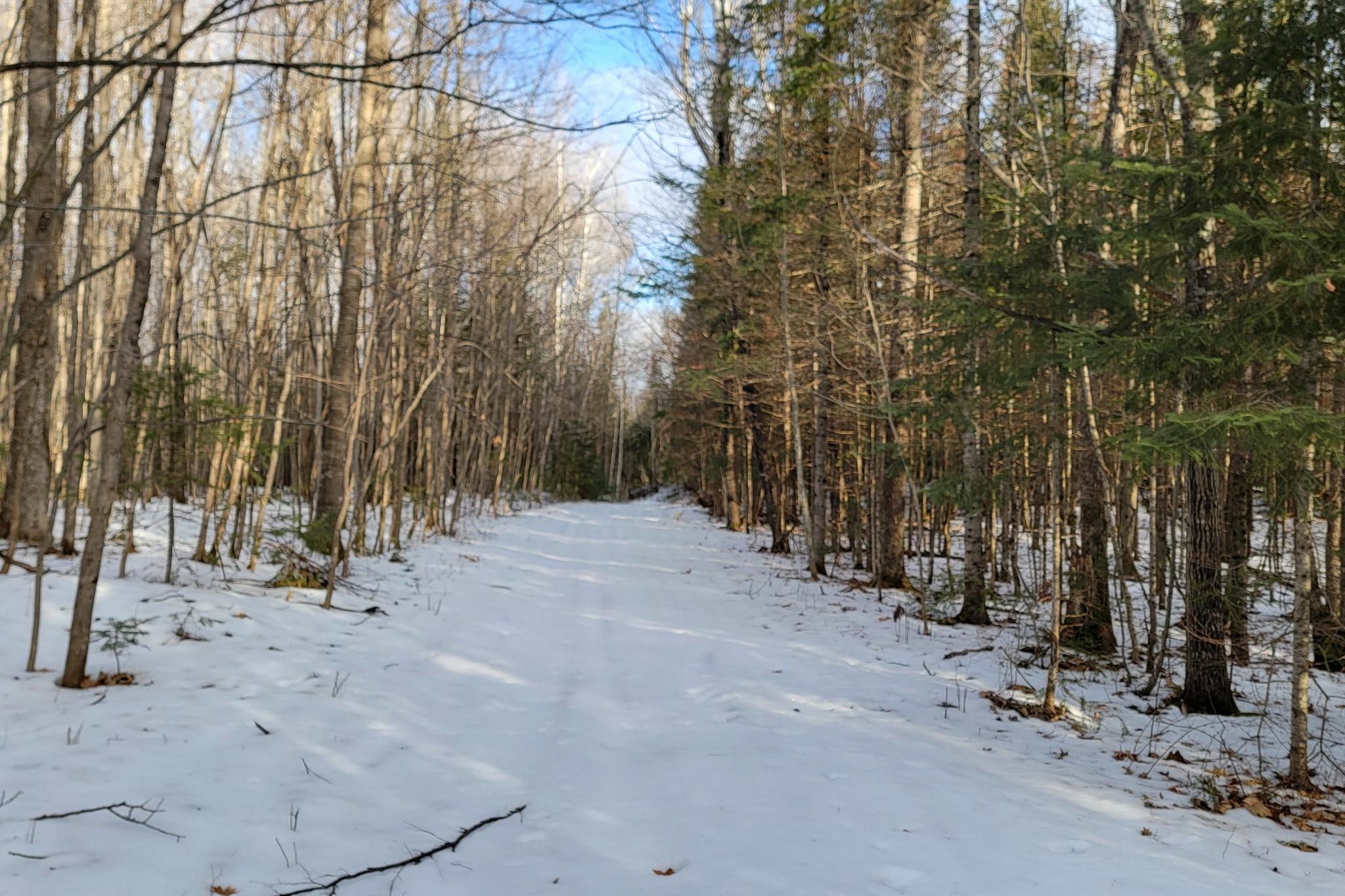 Lot 1 US Highway 63 vacant land for sale in Grand View Wisconsin