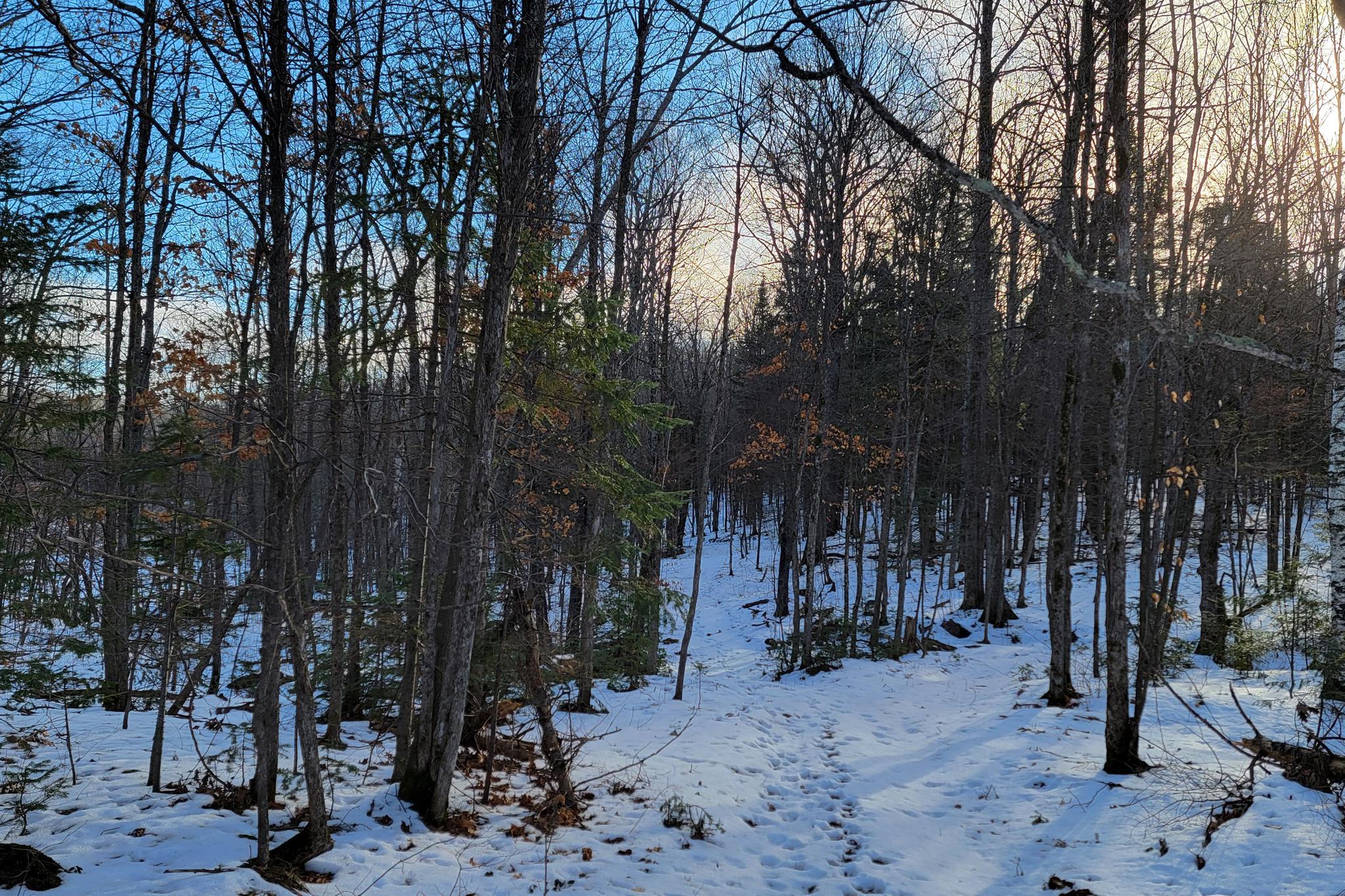 Lot 1 US Highway 63 vacant land for sale in Grand View Wisconsin