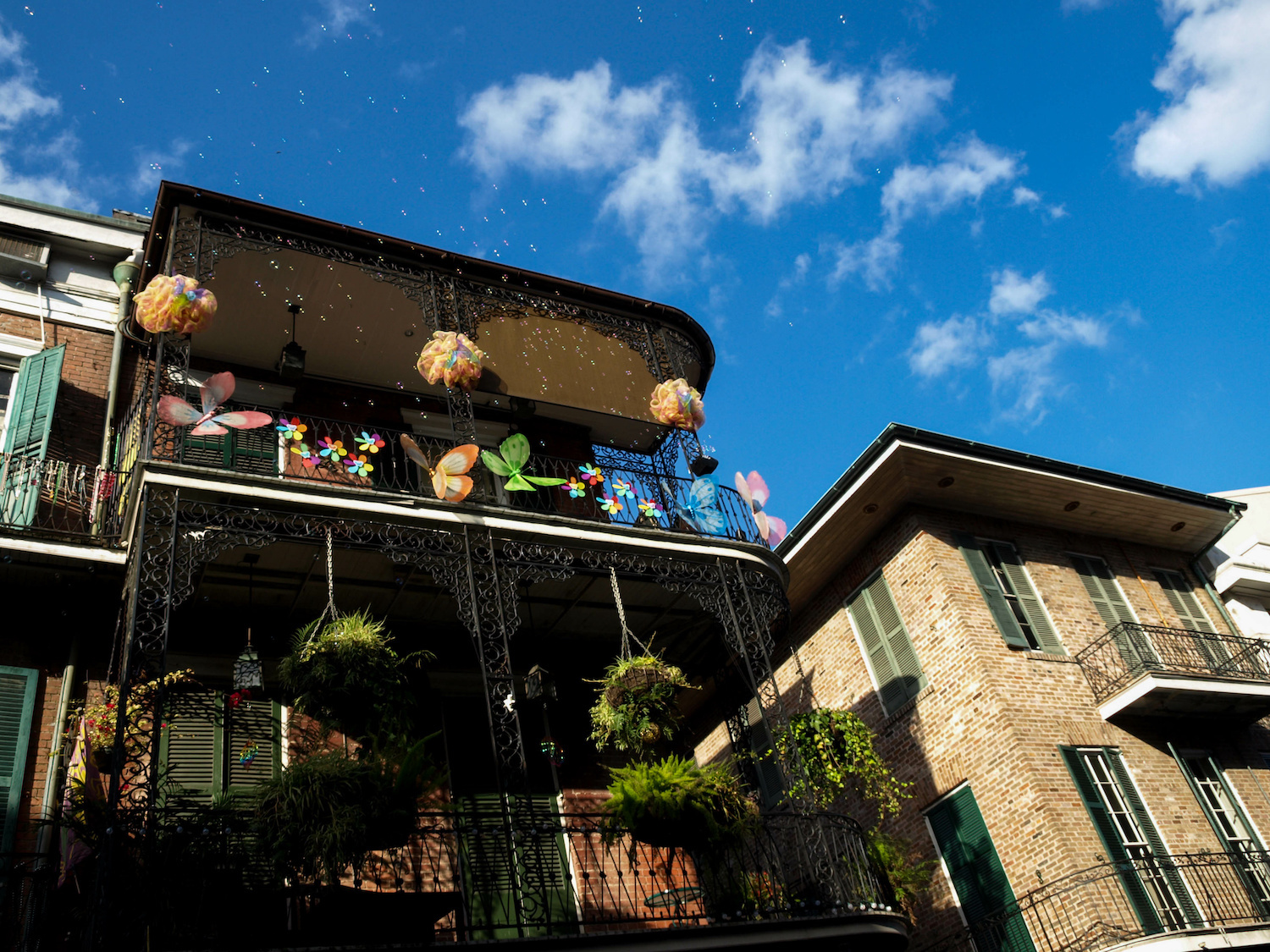 Uptown New Orleans Insiders Guide to Homes & Attractions