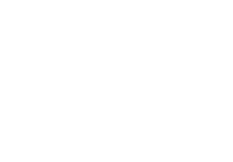 Jan Morel signature