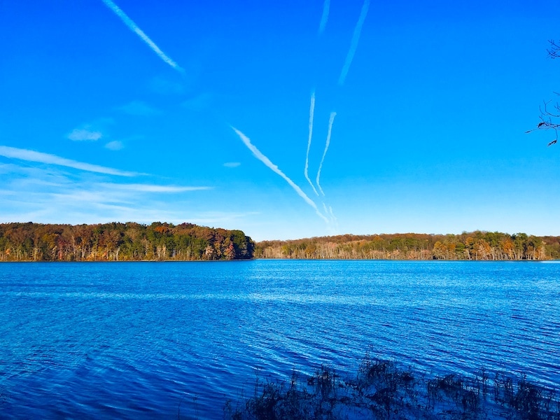 burke lake