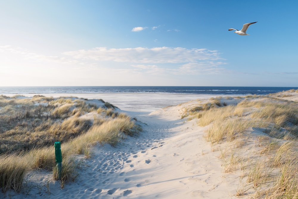 Sullivan's Island beach homes and oceanfront scenery