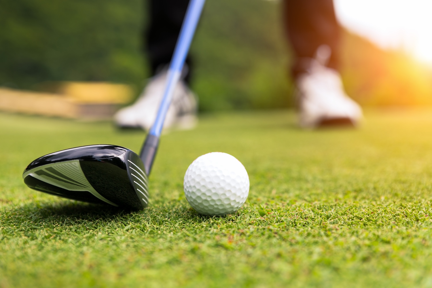 Daniel Island golf recreation and community amenities