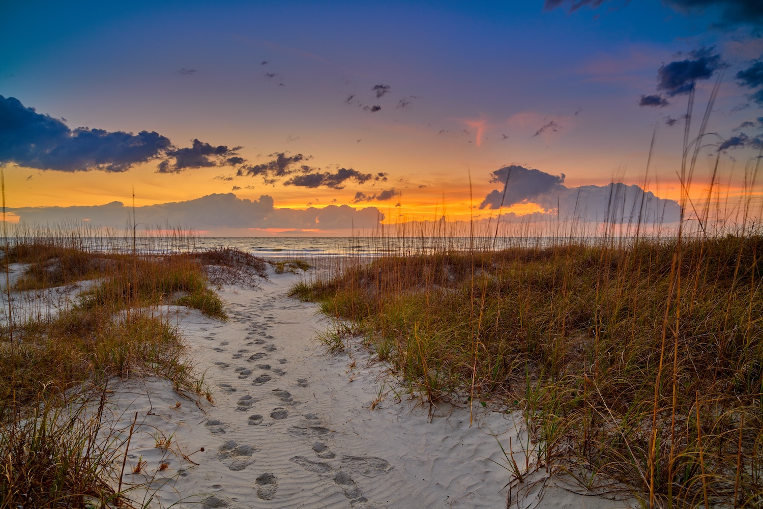 Luxury coastal residences in Wild Dunes Isle of Palms