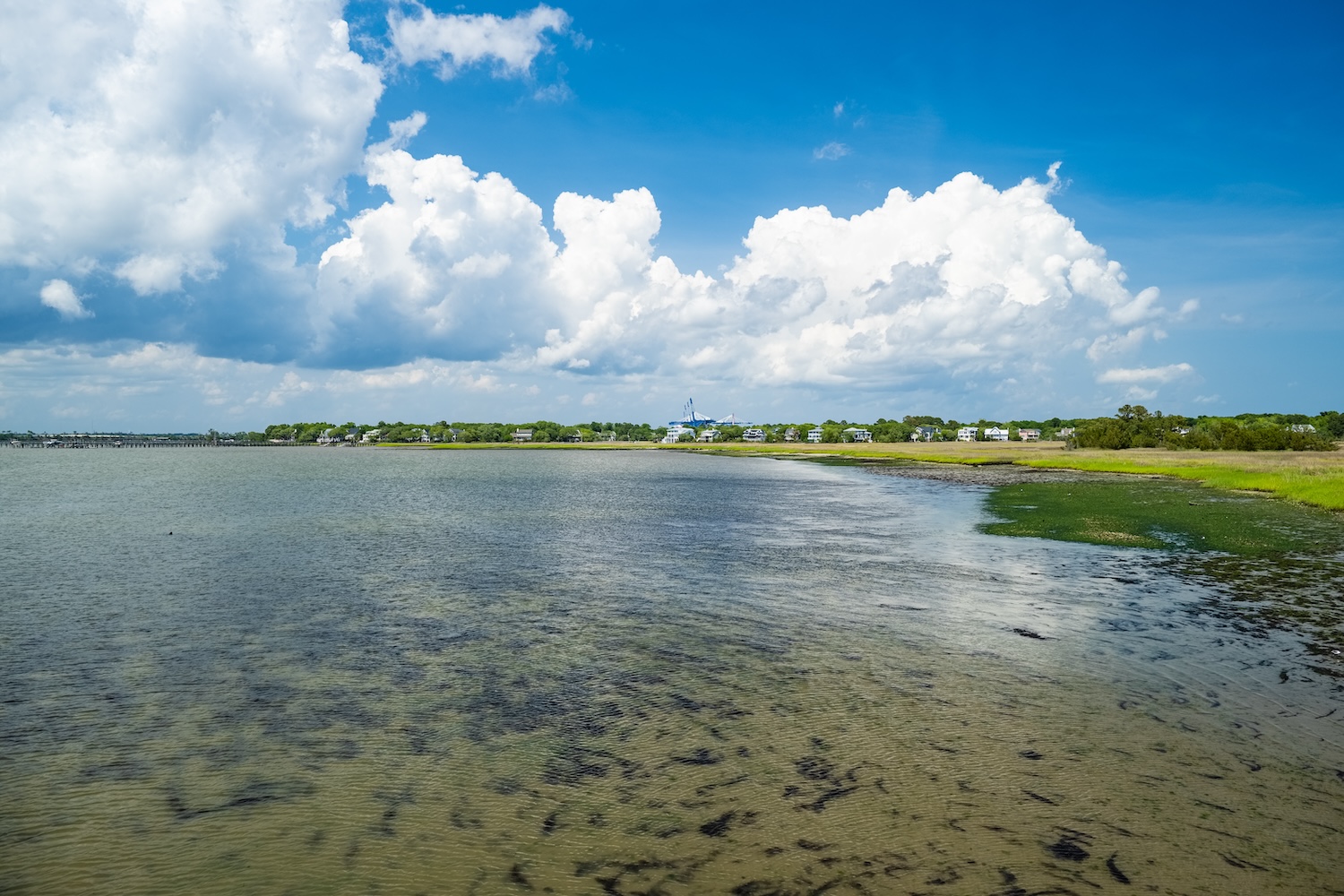 Expansive marsh views from a Charleston waterfront home