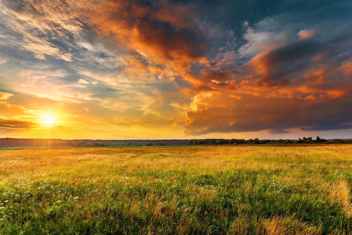 Land pricing strategy in Granville County