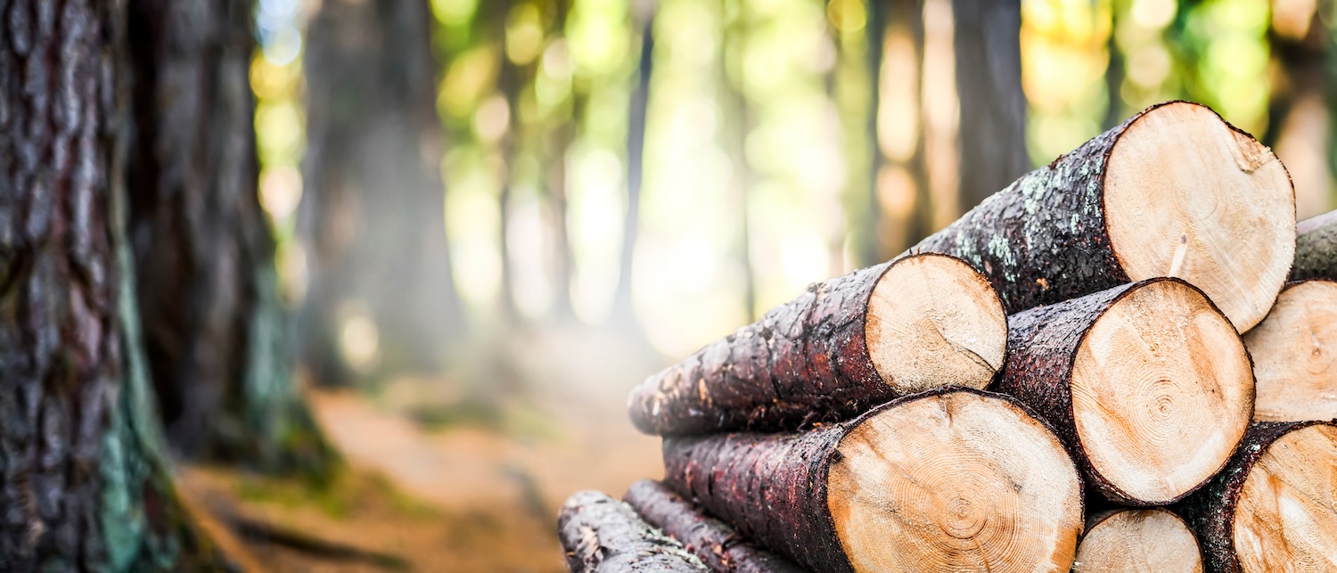 Timber value assessment for land