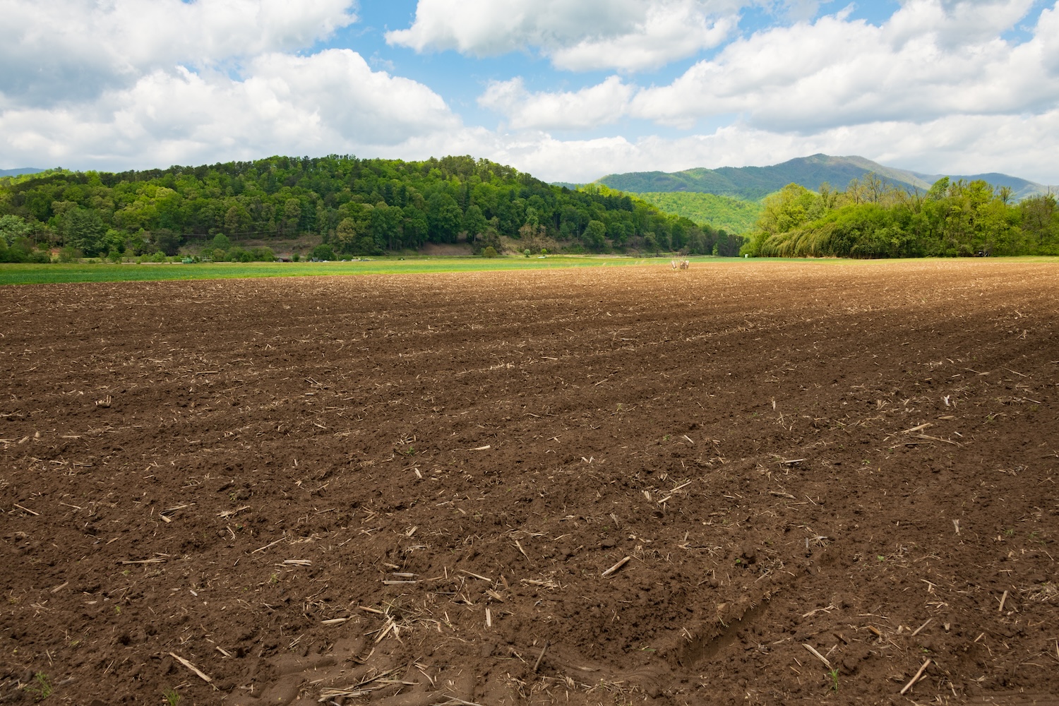 Types of land in Wake County