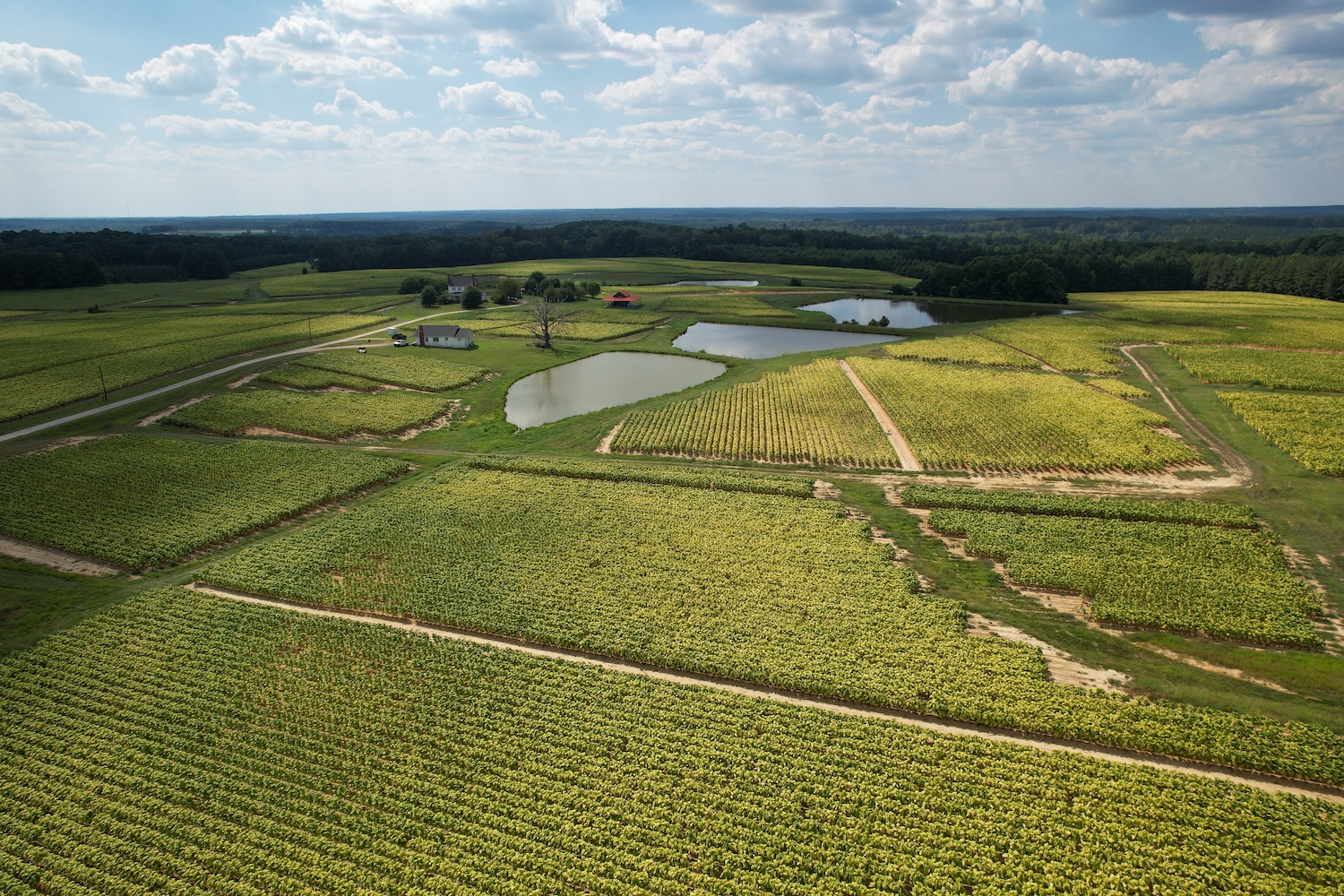 Where to find land for sale in Granville County