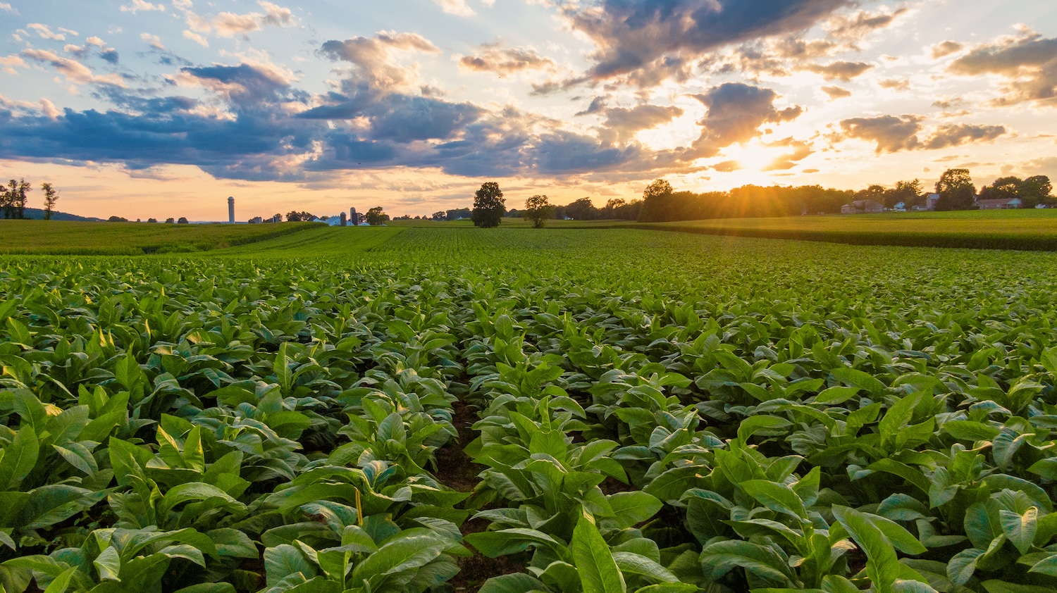 Buying land in Granville County
