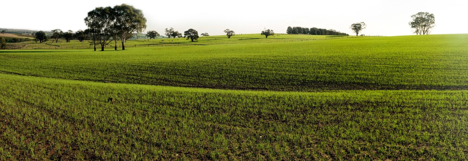 10 acres of land in North Carolina