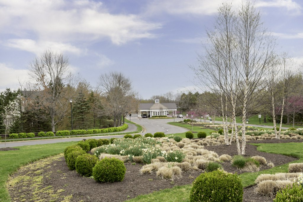 NEIGHBORHOOD PICTURE