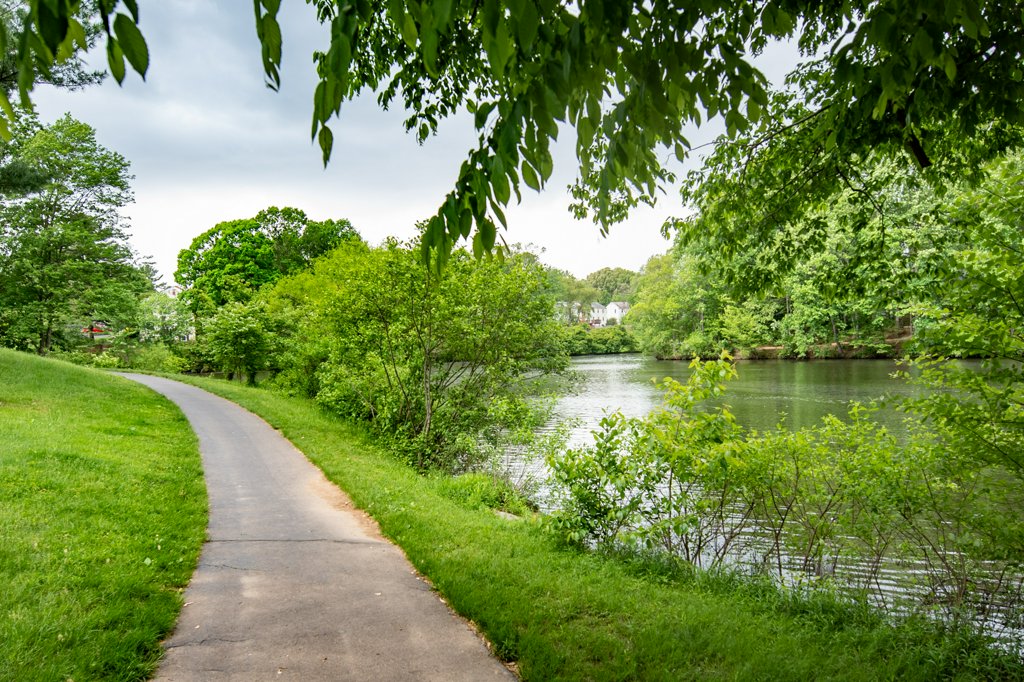 NEIGHBORHOOD PICTURE