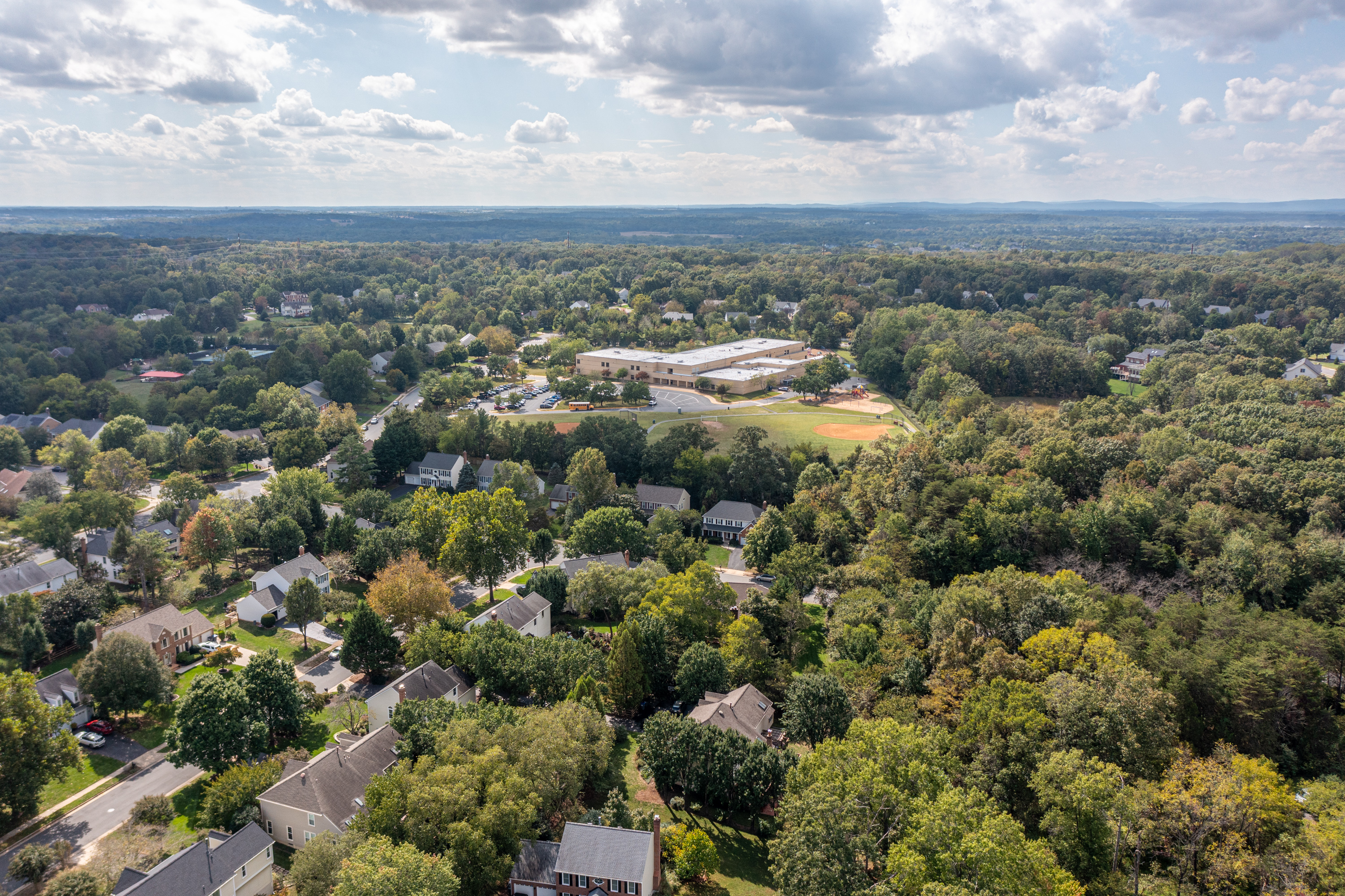 NEIGHBORHOOD PICTURE