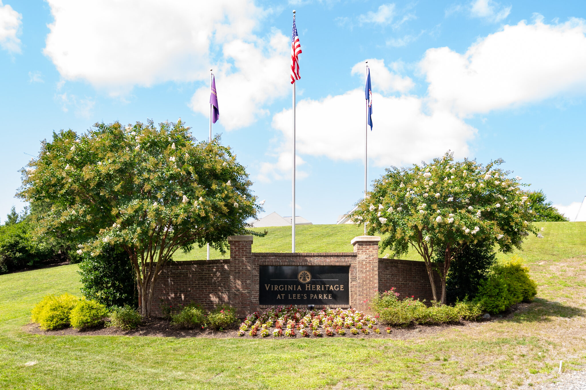 NEIGHBORHOOD PICTURE