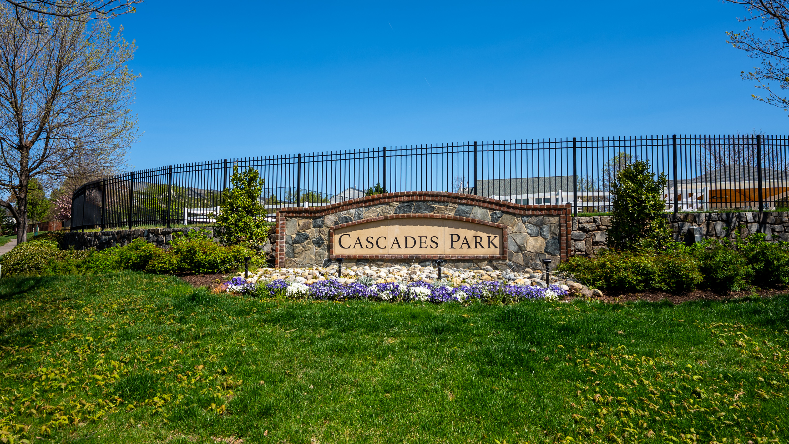 NEIGHBORHOOD PICTURE