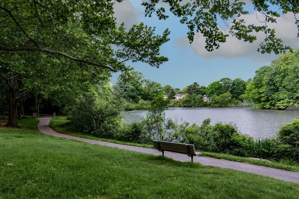 Stunning neighborhood of Cardinal Glen