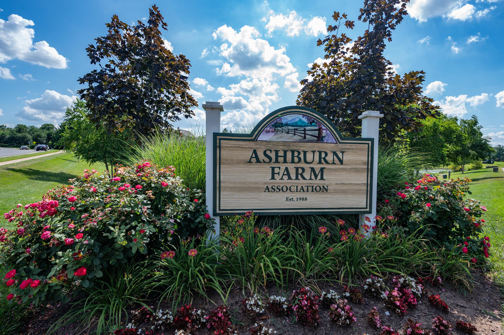 Ashburn Farm