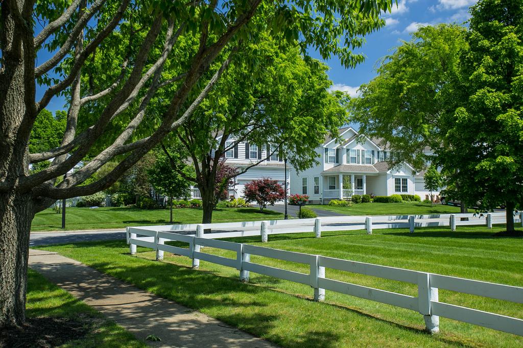 Discover the peaceful neighborhood of The Preserve, located in scenic