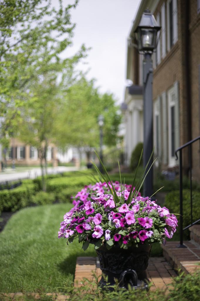 Find Keswick New Albany Country Club Townhomes