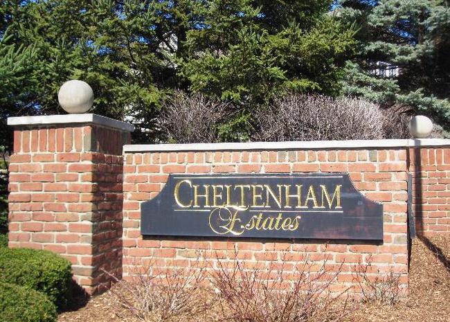 Neighborhood of Cheltenham Estates in Novi MI real estate