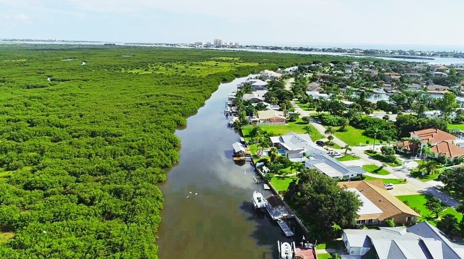 Smyrna Beach Florida Buyers Resources NSB Homes