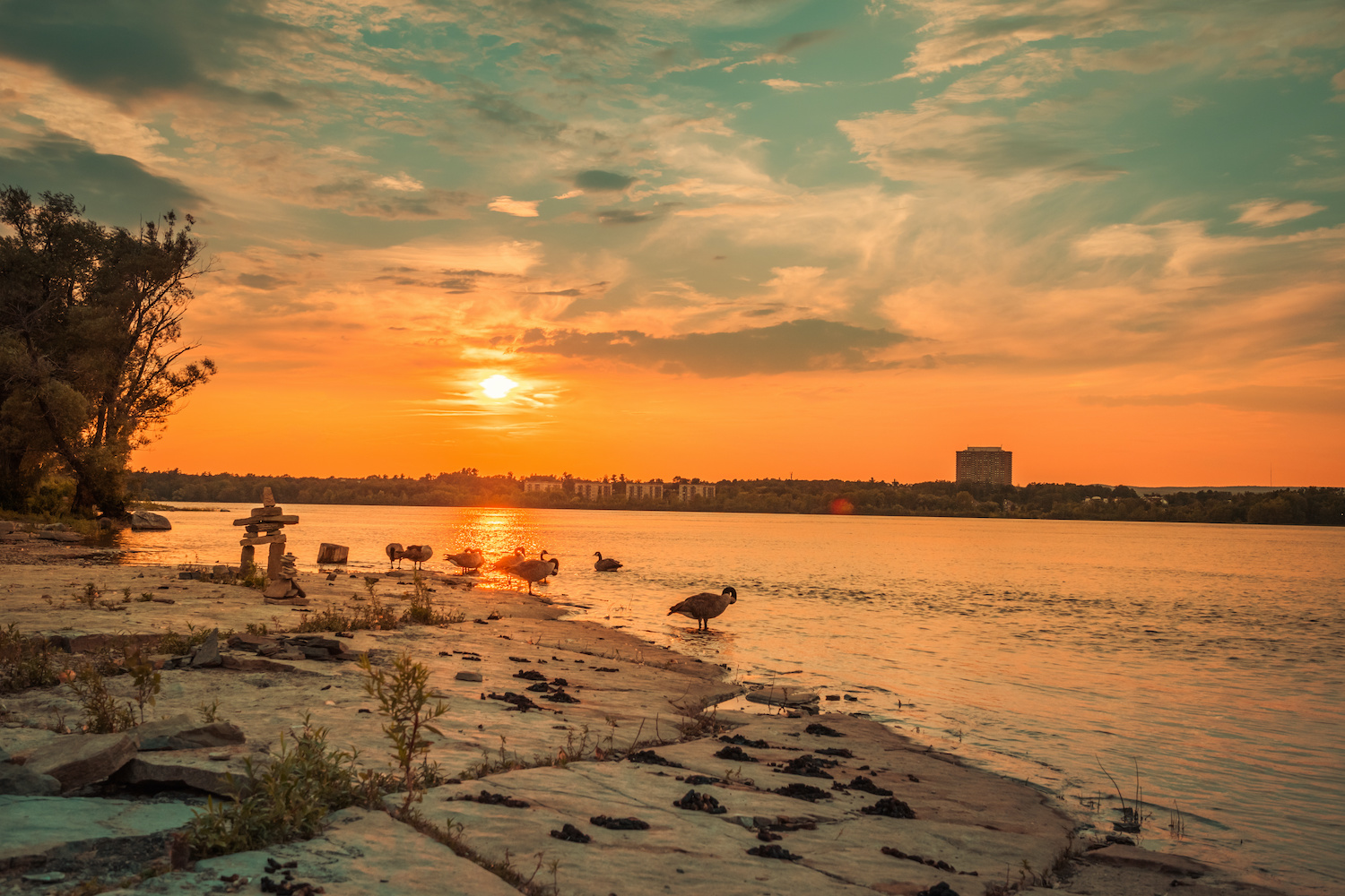 Explore Everything Ottawa's Westboro Real Estate Has to Offer