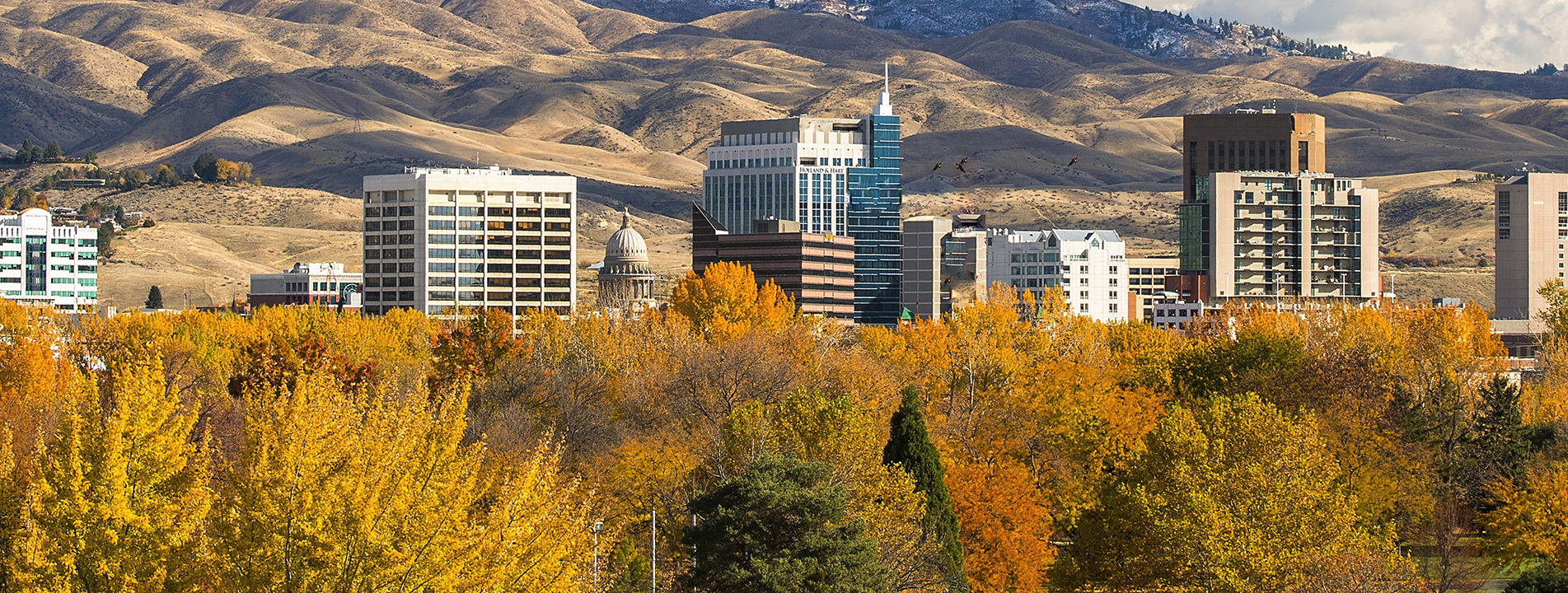 Antler Ridge Subdivision Real Estate Boise Idaho Homes For Sale