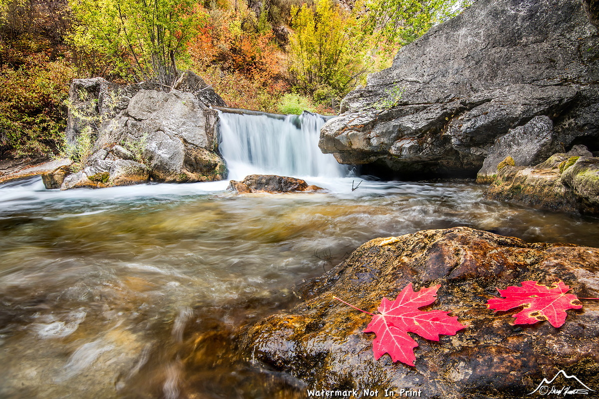 Quail Ridge Real Estate Caldwell Idaho Homes For Sale