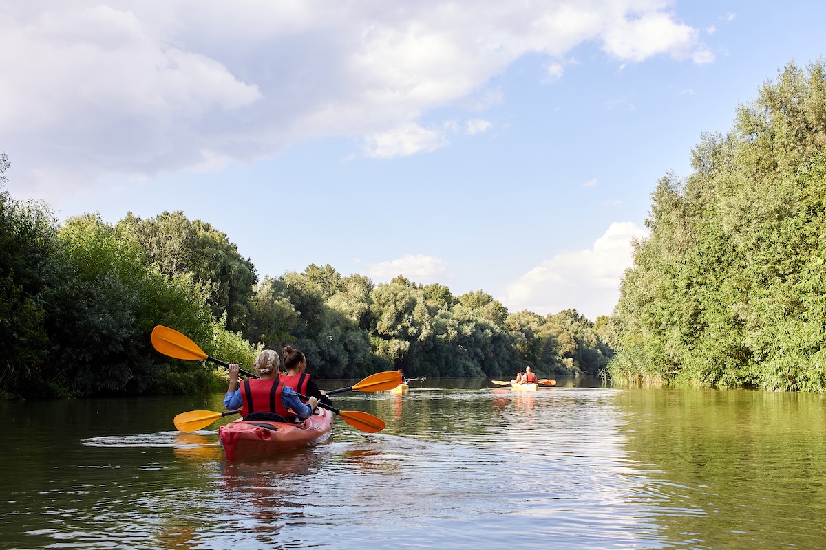 kayaking on the cape fear river