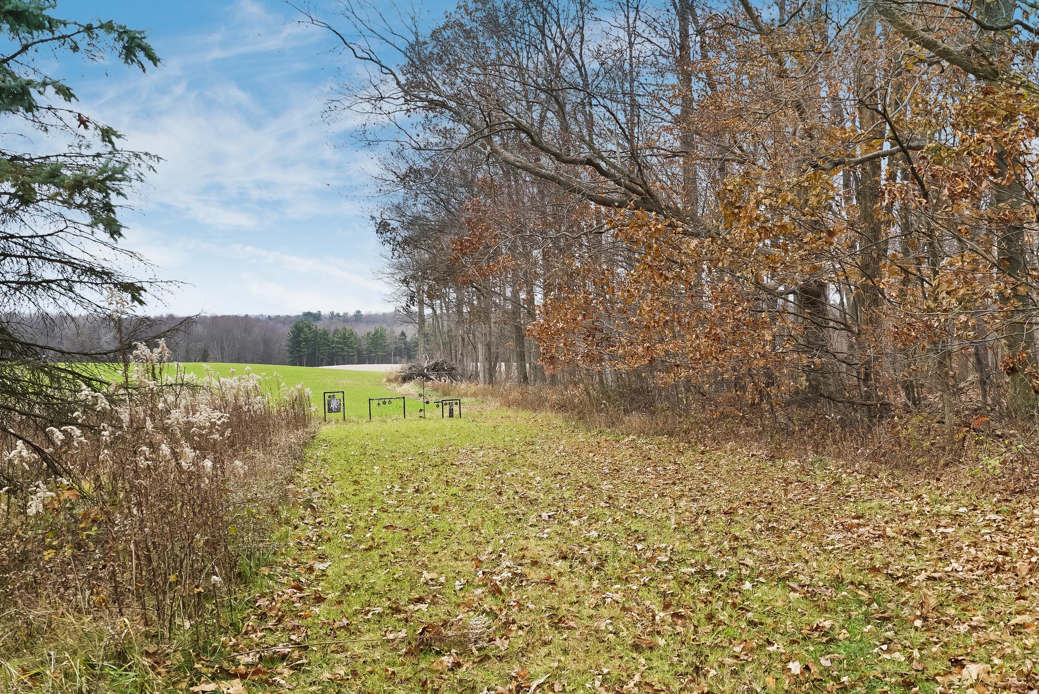 Exterior Yard