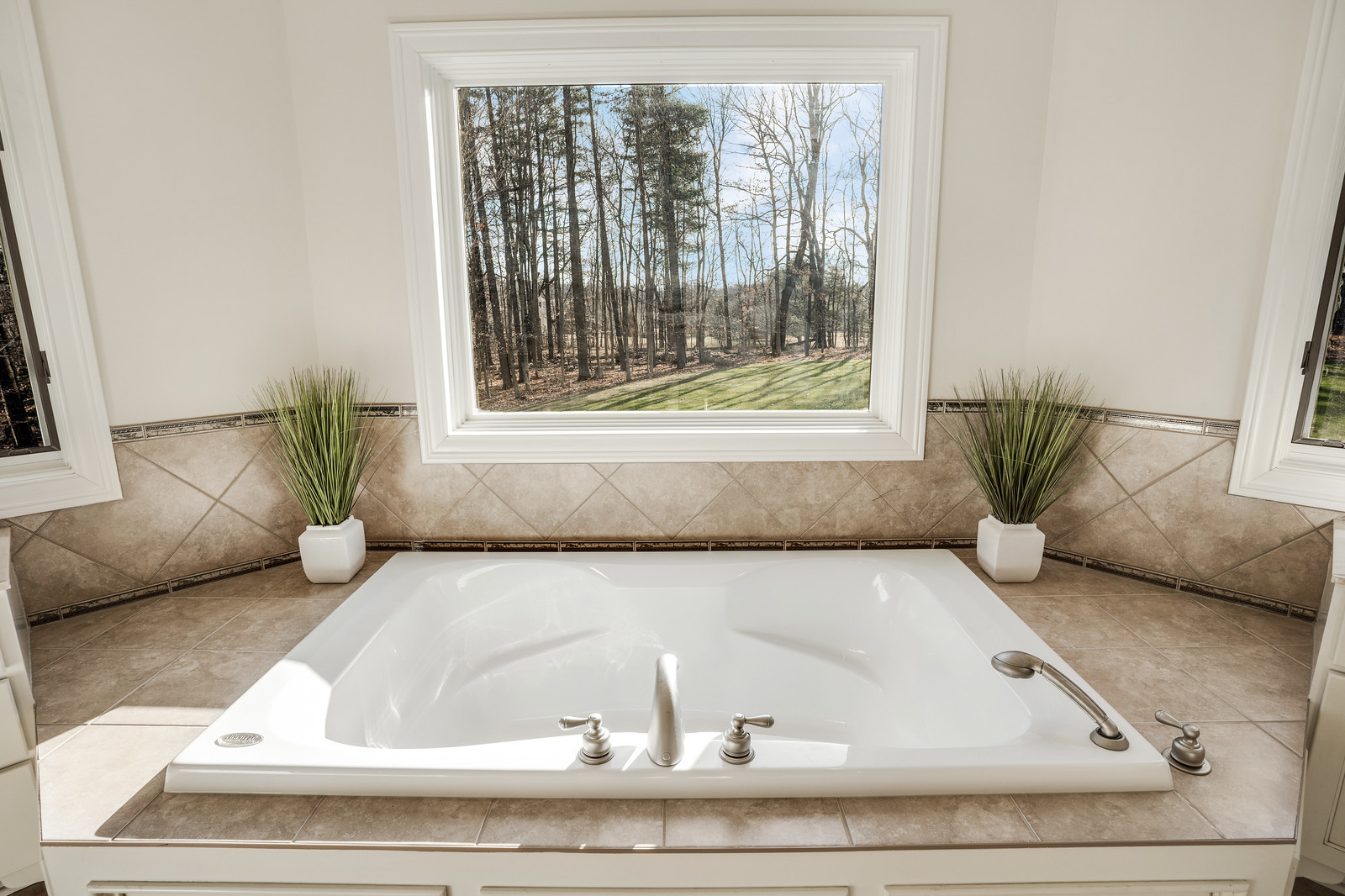 Owner Bathroom Soaking Tub