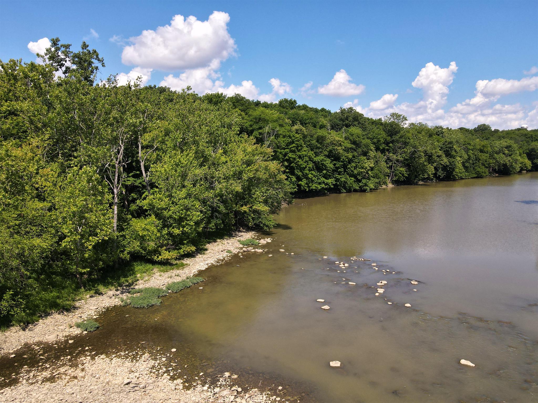 Tree Line Ravine