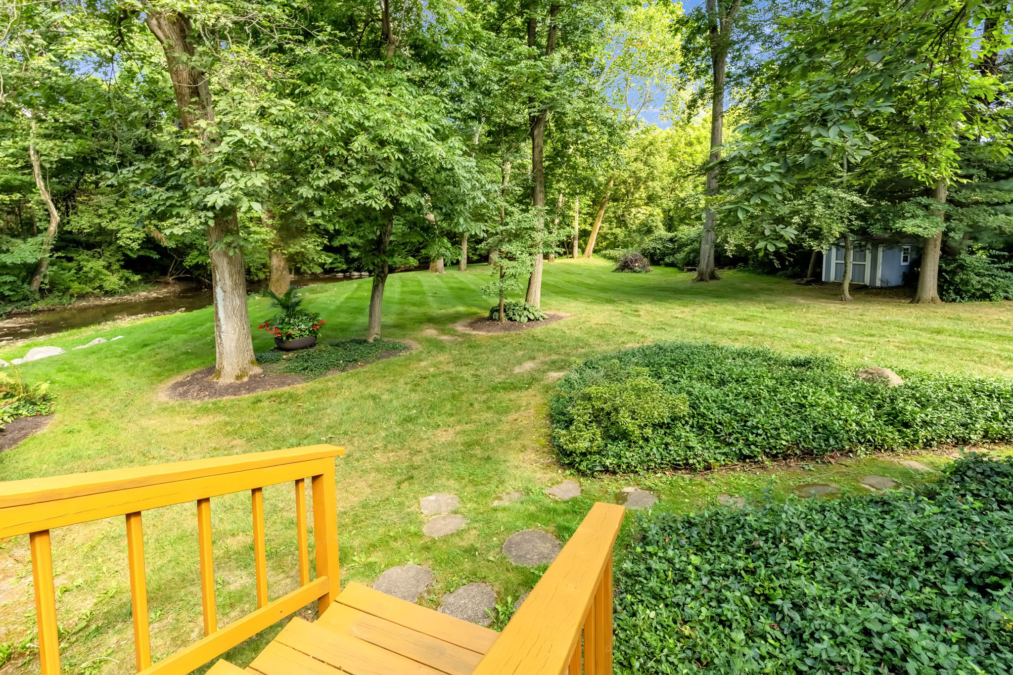 Back Yard