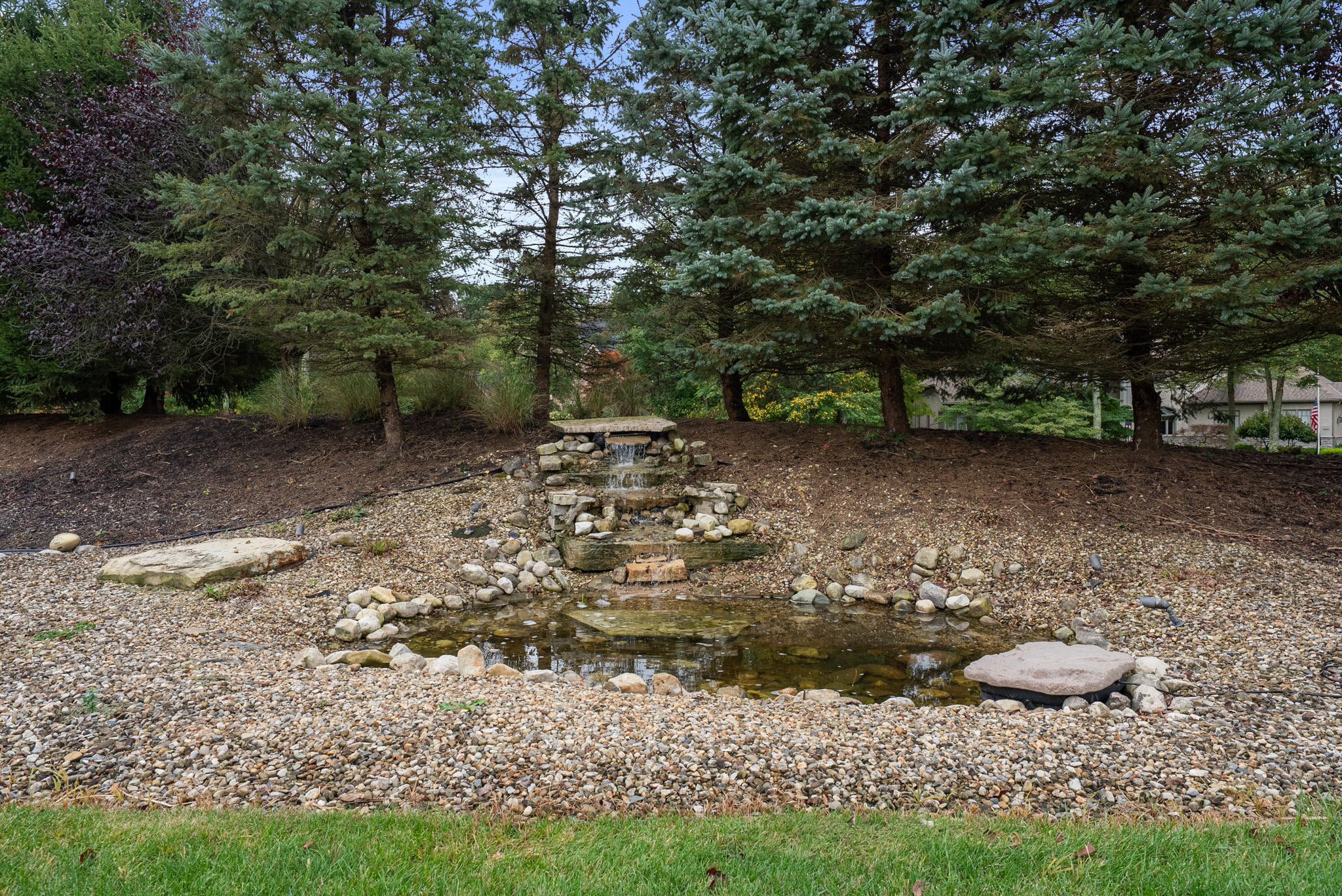 Pond