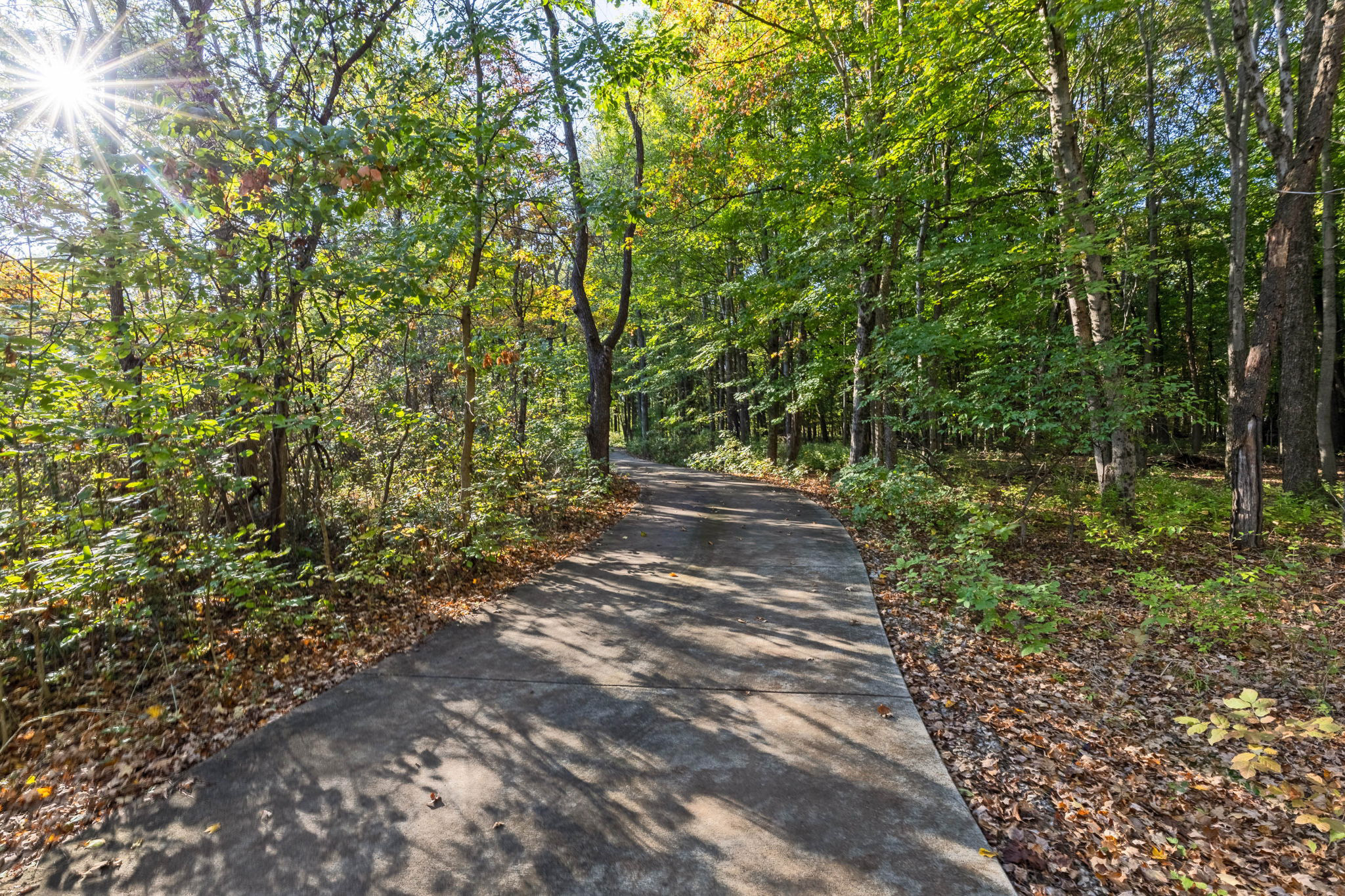 Driveway