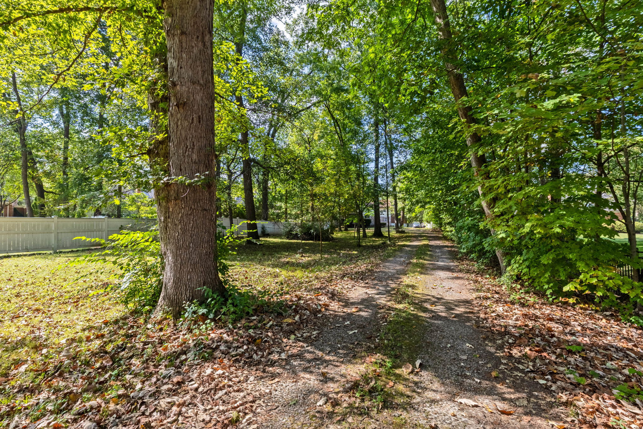 Driveway