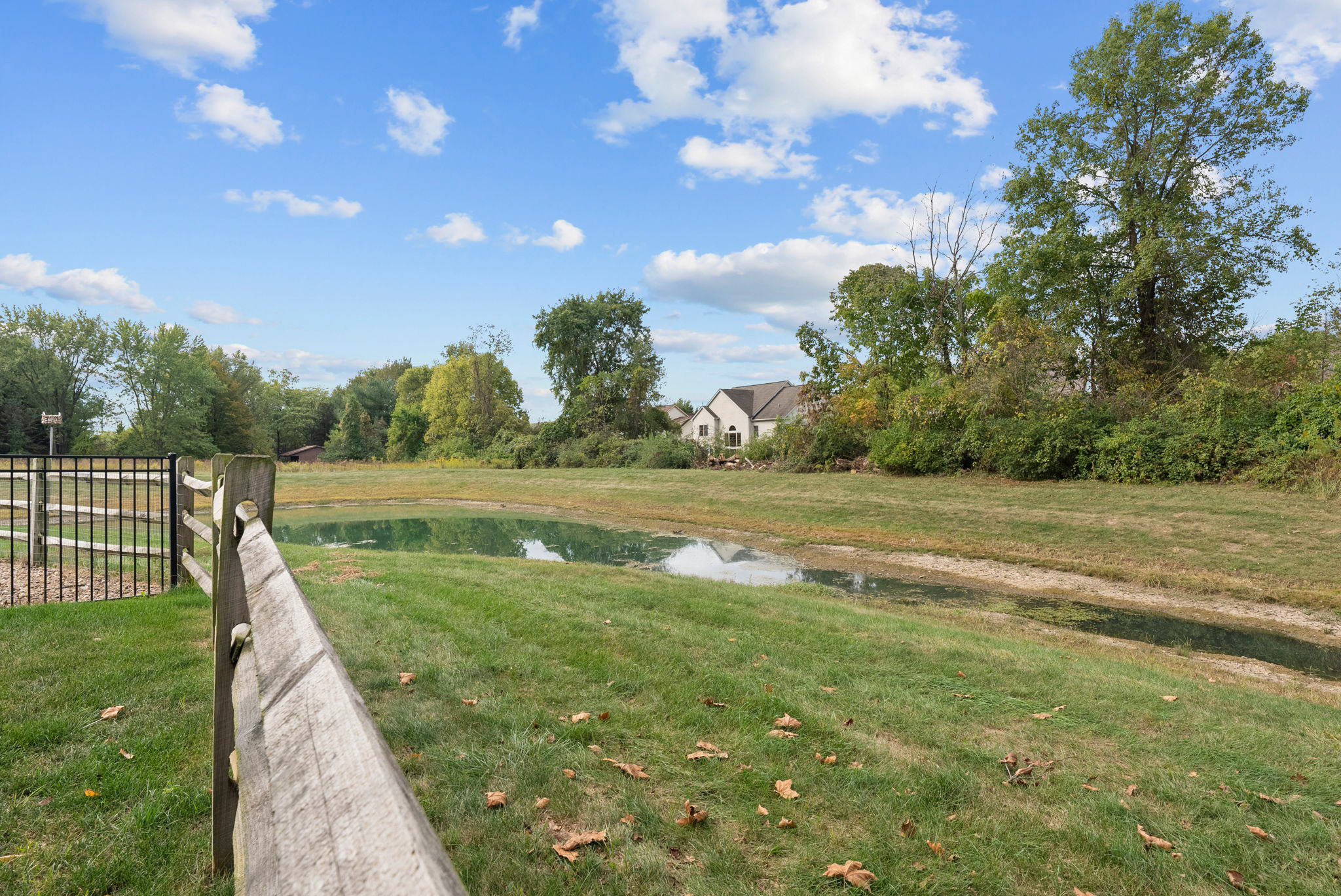 Community Pond