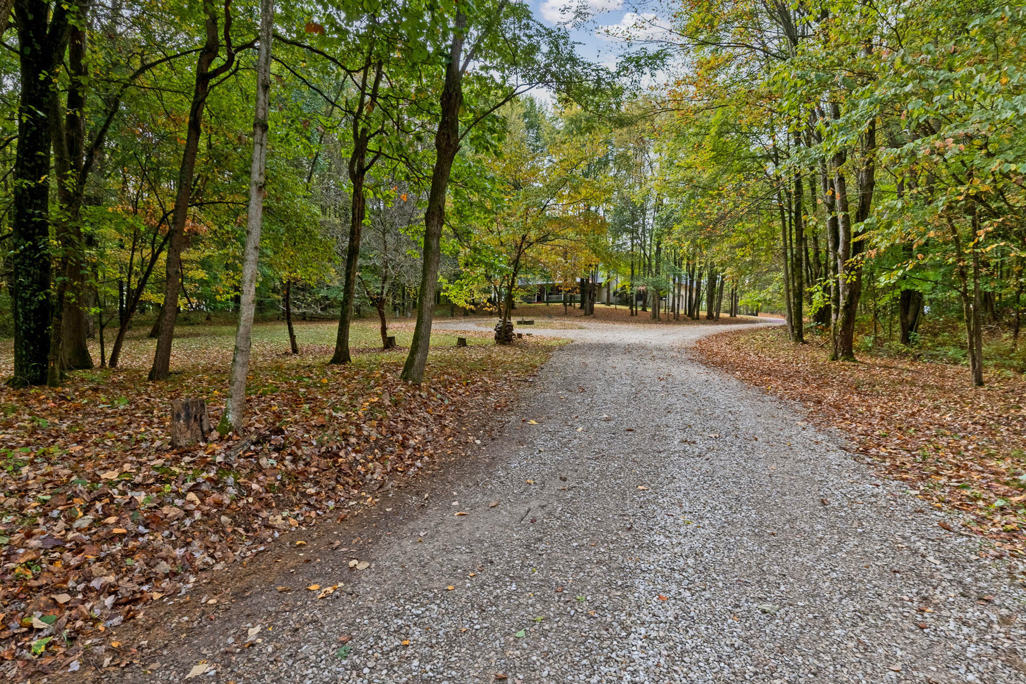 Driveway