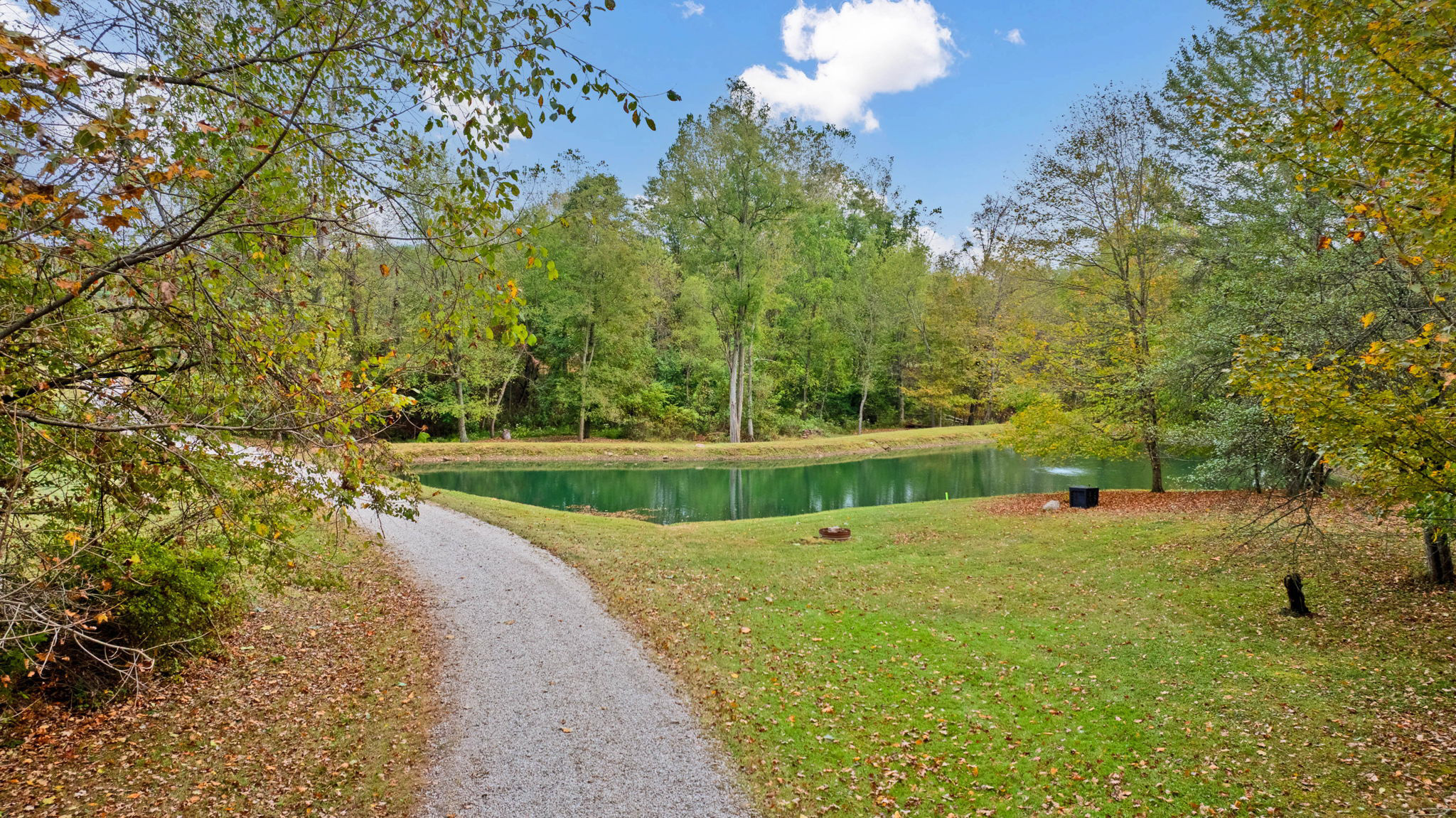 Pond