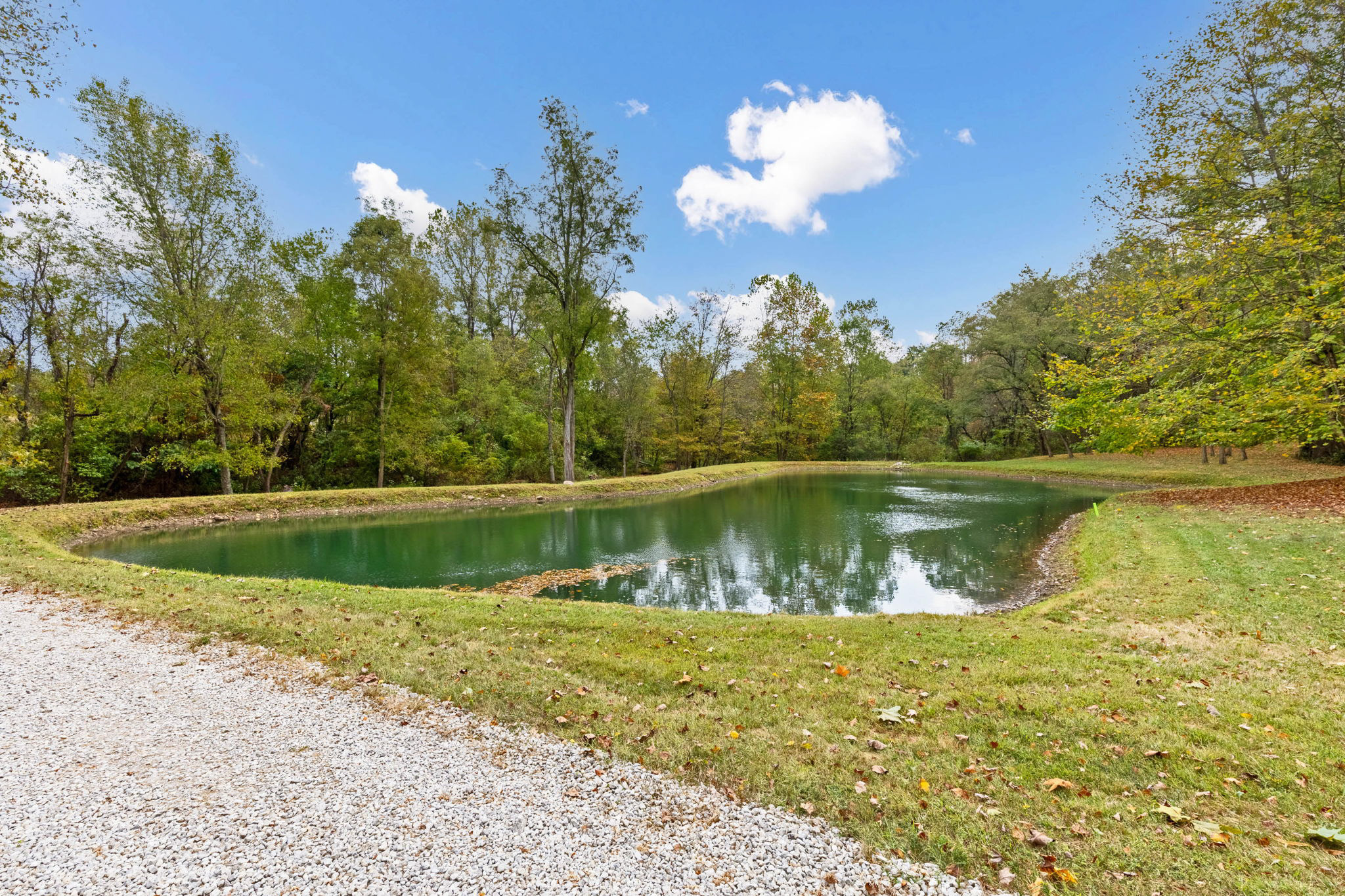 Pond