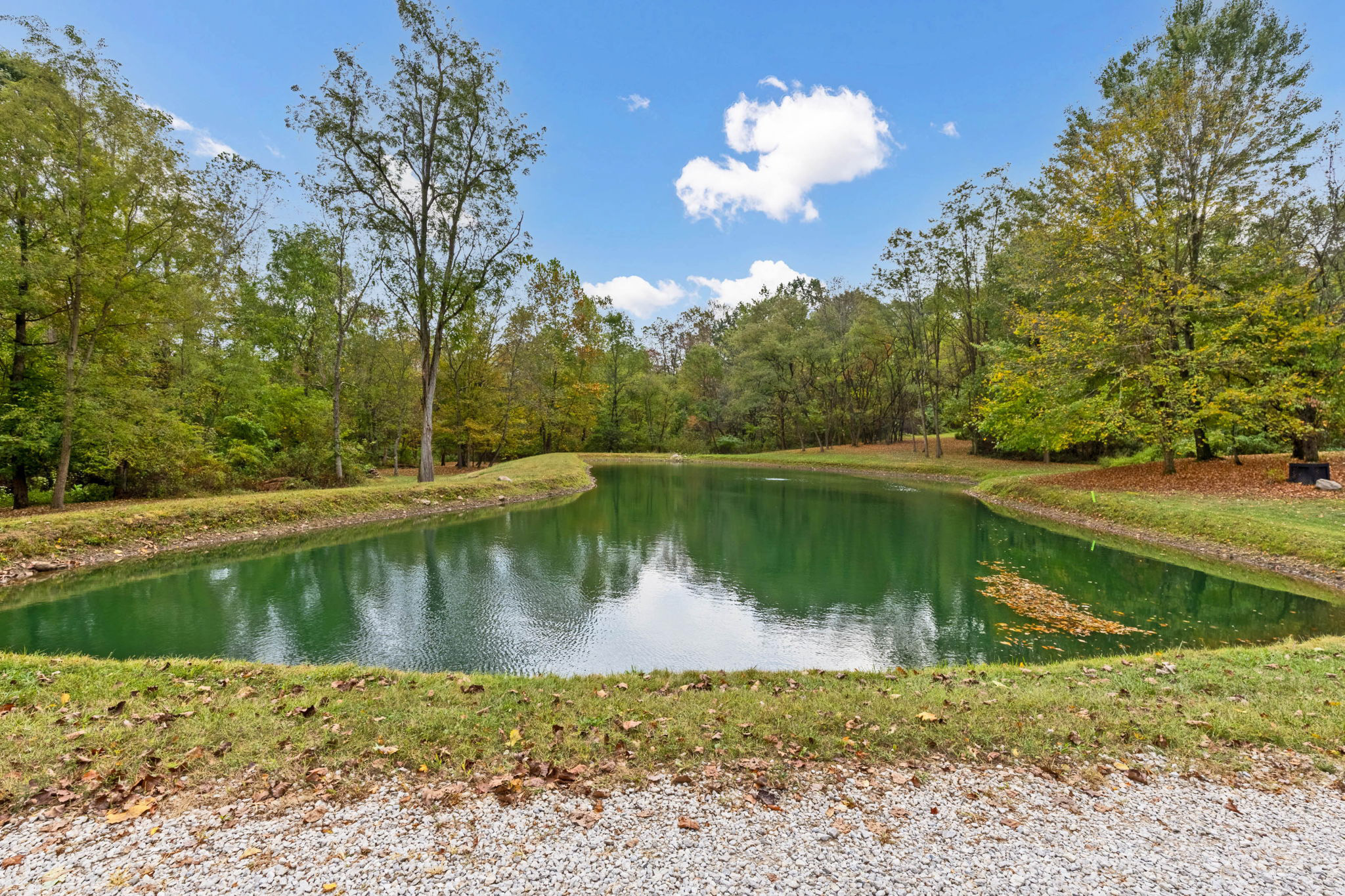 Pond
