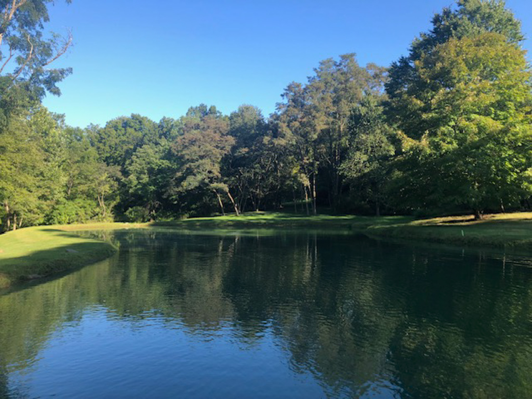 Pond