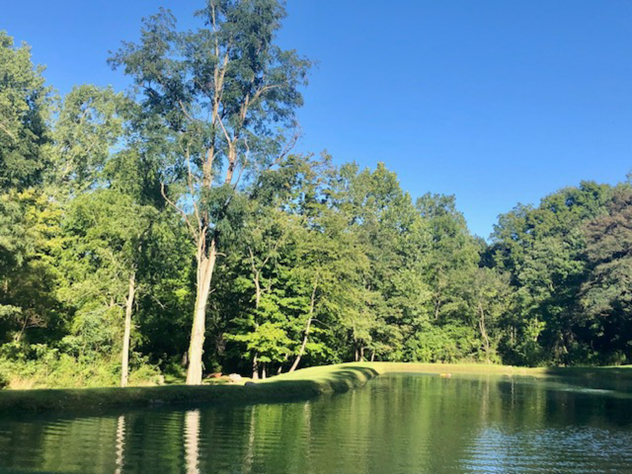 Pond