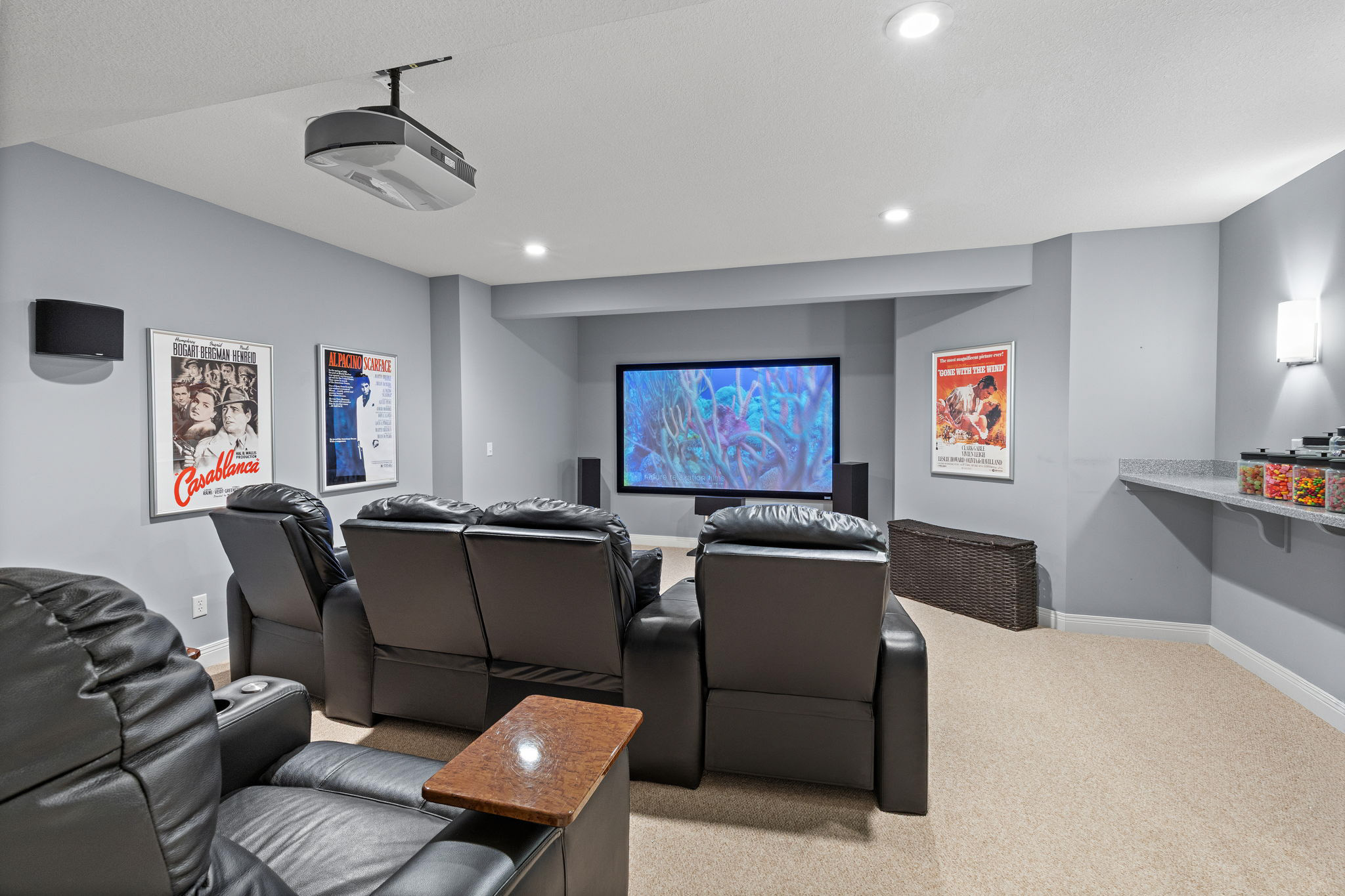 Theater Room