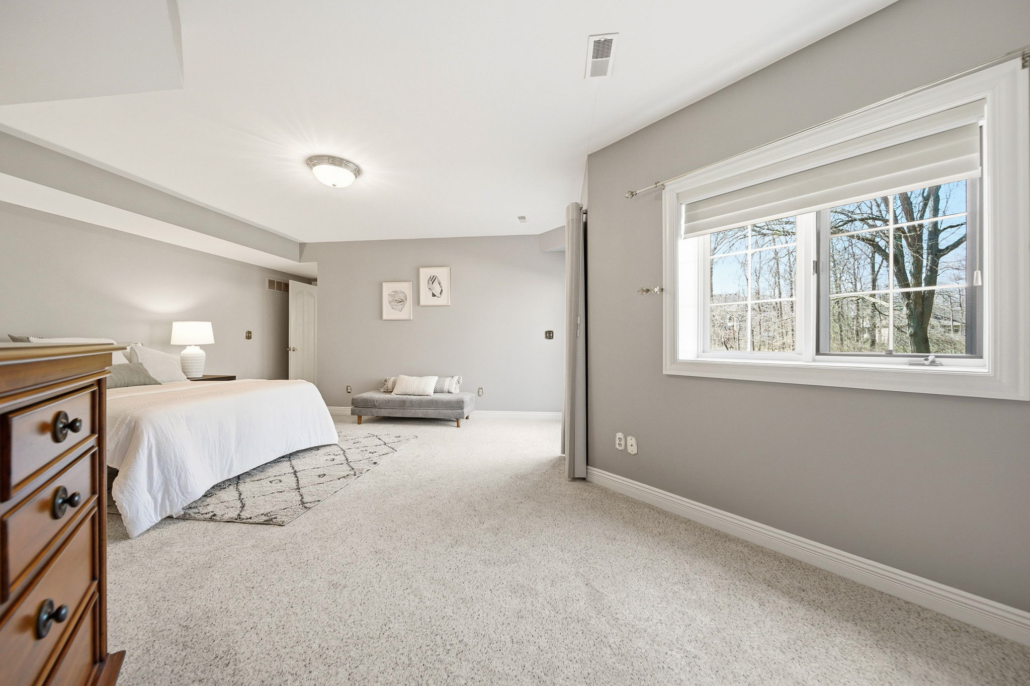 Lower Level Bedroom 4